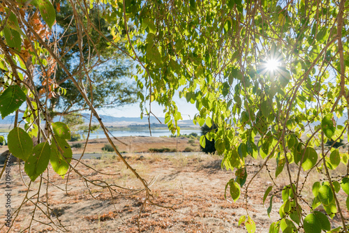 Beautiful landscape of Lake Henshaw photo