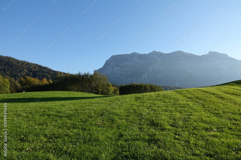 Blick von Bizau zur Kanisfluh