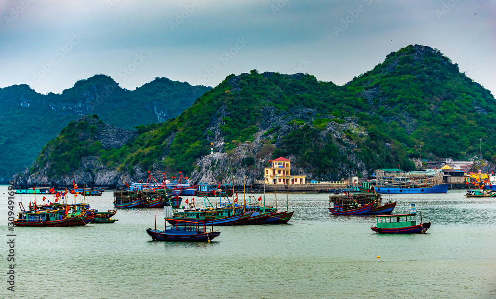 Cat Ba  Vietnam Fishing Boats in the Harbour