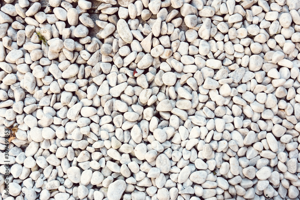 White stones in a backyard White stones in a backyard