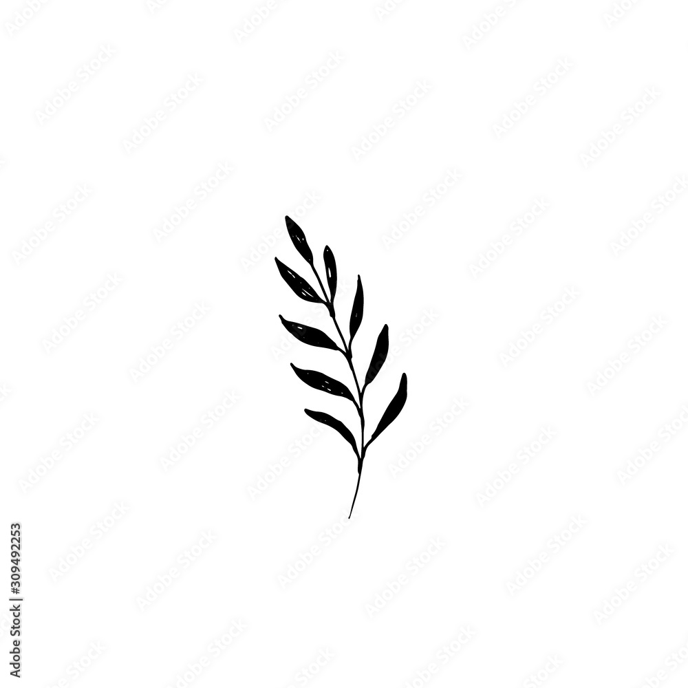 Hand drawn vector illustration of leaf Hand drawn vector illustration of leaf