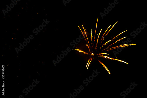 Yellow fireworks in the shape flowers on the black background.