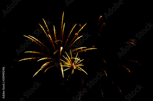 Two yellow fireworks in the shape flowers on the black background.