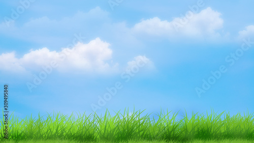 green grass and blue sky