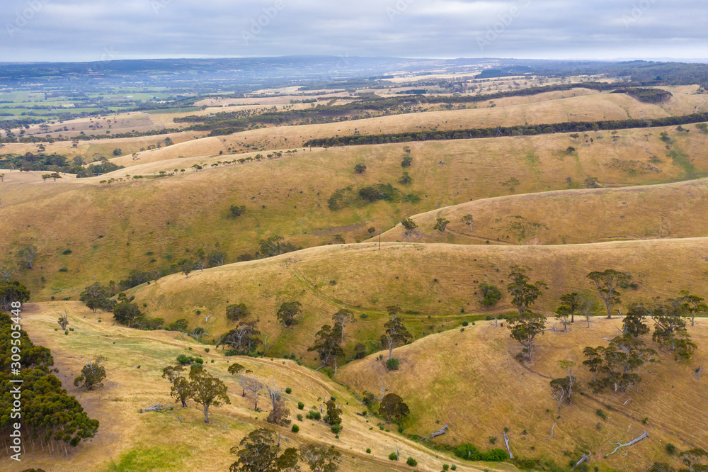 Rolling green hills and trees in farmland south of Adelaide in Australia