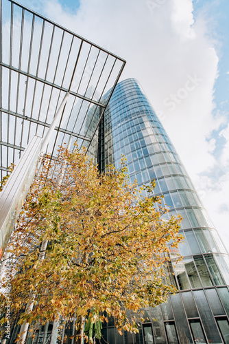 View of the business building from below. Near the skyscraper autumn tree