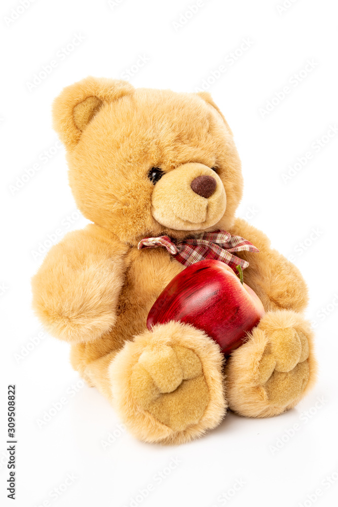 Obraz premium Fluffy teddy bear isolated on white