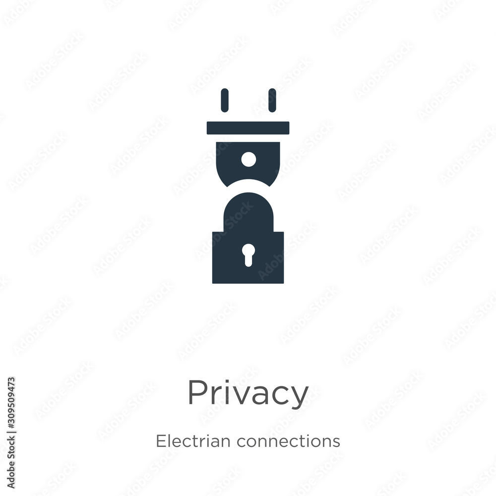Privacy icon vector. Trendy flat privacy icon from electrian connections collection isolated on white background. Vector illustration can be used for web and mobile graphic design, logo, eps10