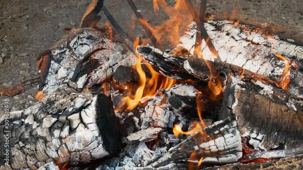 Bonfire with the trunks full of ashes in the bark of the wood and orange flames sprouting from the fire Bonfire with the trunks full of ashes in the bark of the wood and orange flames sprouting from the fire