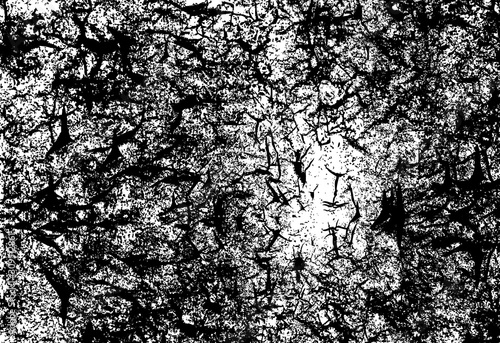 abstract background,vector