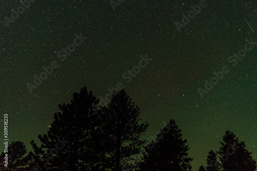Starry sky, milky way, tress in Bryce Canyon National Park