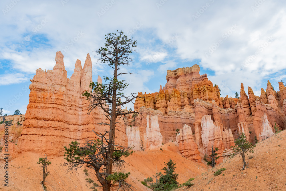 Hiking in the beautiful Queens Garden Trail of Bryce Canyon National Park Hiking in the beautiful Queens Garden Trail of Bryce Canyon National Park