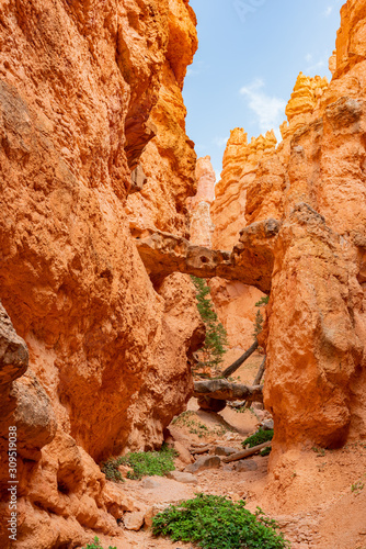 Hiking in the beautiful Queens Garden Trail of Bryce Canyon National Park © Kit Leong