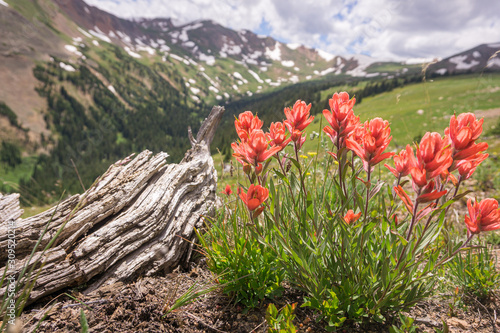 Front Range Alpine Valley #7