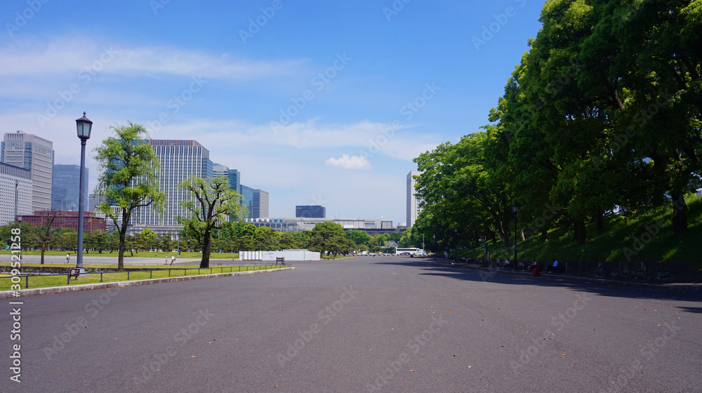 City road with background city and garden park