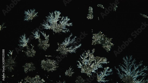 crystallization, crystal growth, chemical reaction, microscop timelapse, chemistry photo