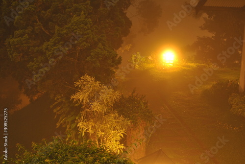 garden lights at night