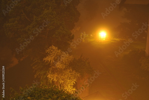 garden lights at night