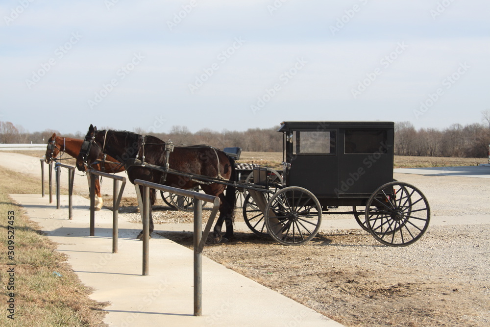 Amish Living 2019 II