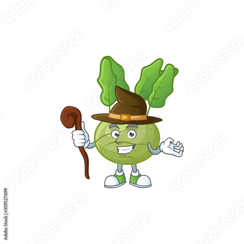 Happy Face Witch kohlrab cartoon character style photo