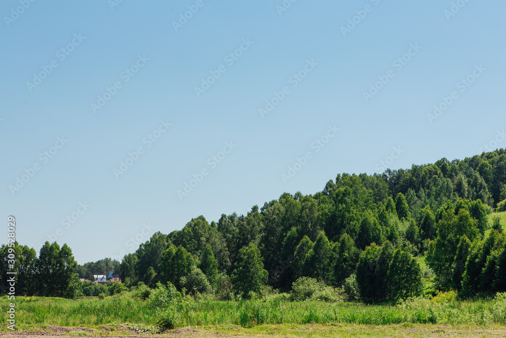 Summer green forest on the hill with clear blue sky