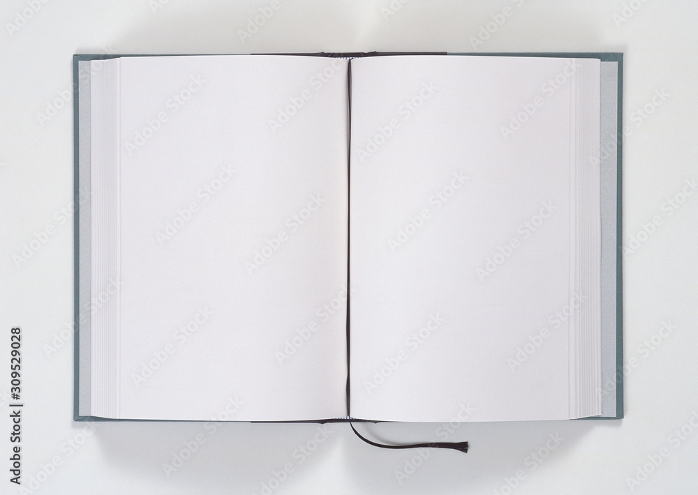 book with blank pages book with blank pages
