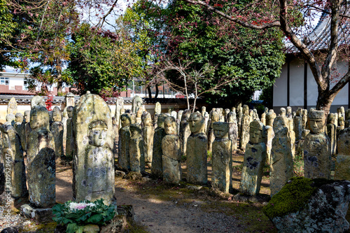 Stone images of the Buddha at Rakan-ji temple in Kasai city, Hyogo prefecture, Japan photo