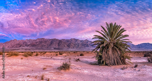 Colorful sunset in desert area of nature reserve and ecological ancient park ...