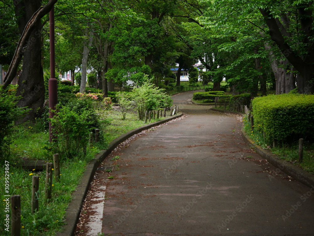 公園内の道