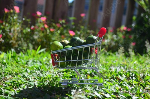 Fresh vegetables in a shopping cart. photo