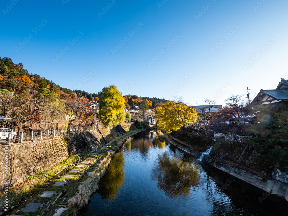 a beautiful autumn and spring in Japan