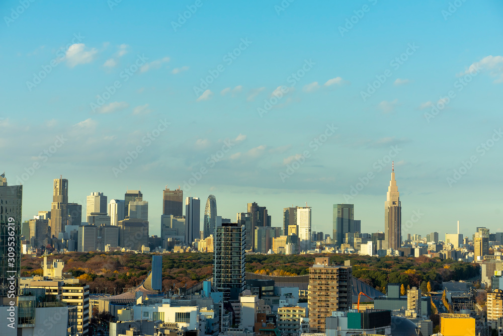 都会の風景 東京渋谷から 都会の風景 東京渋谷から