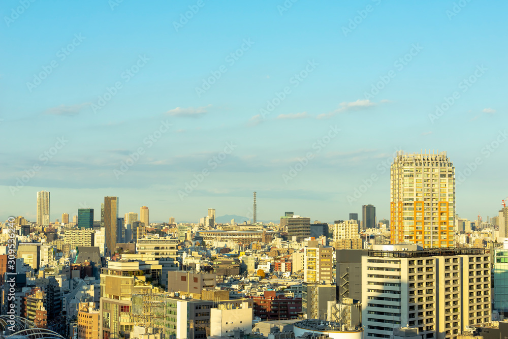 Fototapeta premium 都会の風景 東京渋谷から