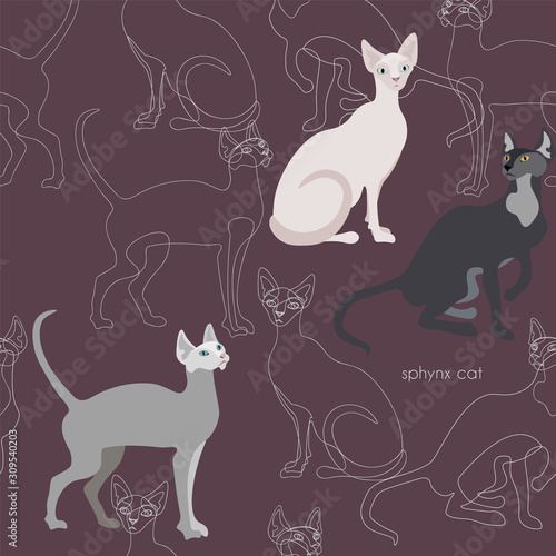 Three canadian sphinx cats vector seamless vector illustration. Felis catus. Image of a silhouette of a bald and hairless cat on a burgundy background. Endless pattern.