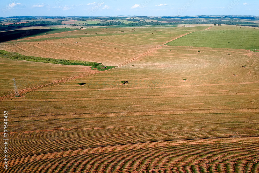 Aerial view from drone of little peanut plant in field and high voltage tower in Brazil