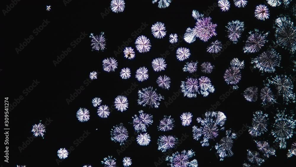 Crystallization. Crystal Growth Chemical Reaction Microscop Timelapse Crystallization. Crystal Growth Chemical Reaction Microscop Timelapse