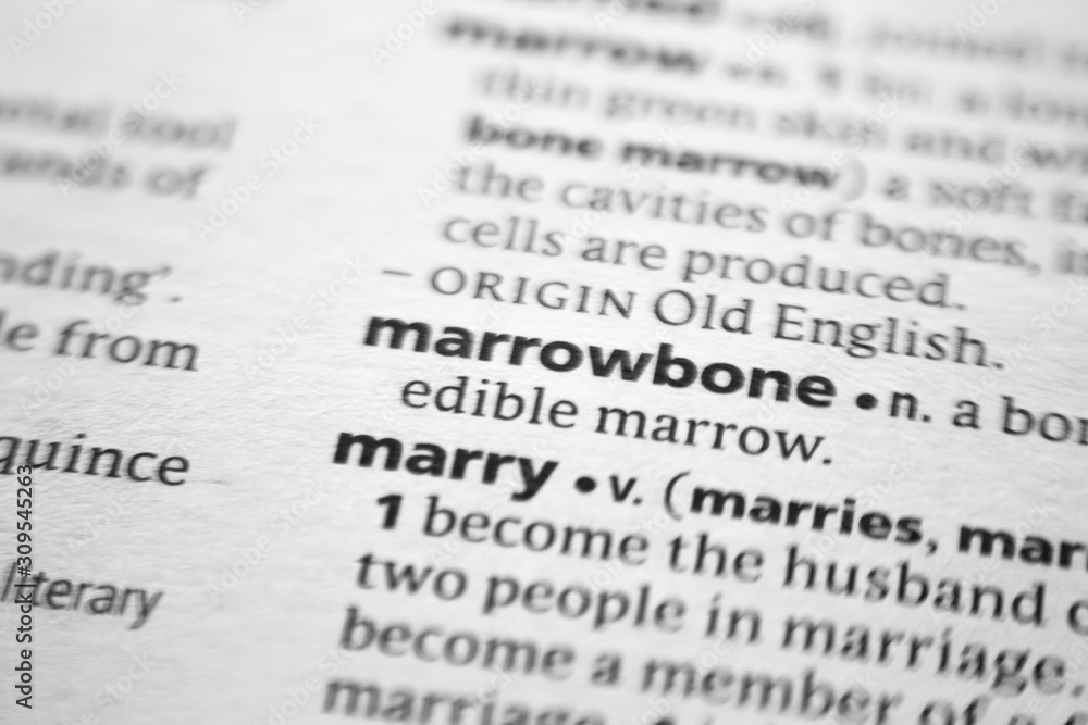 Word or phrase Marrowbone in a dictionary. Word or phrase Marrowbone in a dictionary.