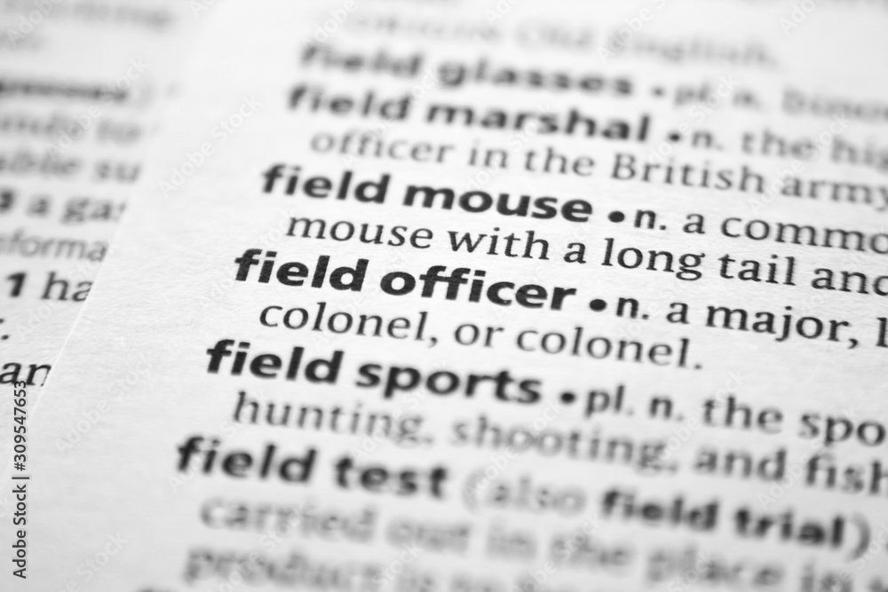 Word or phrase Field officer in a dictionary. Word or phrase Field officer in a dictionary.