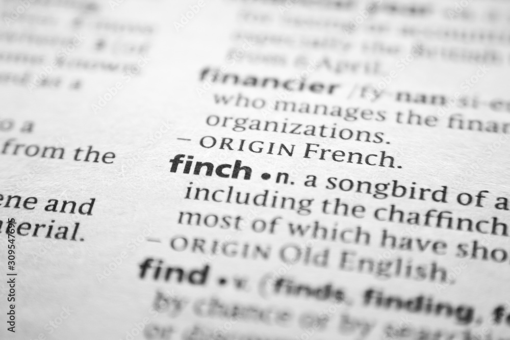 Word or phrase Finch in a dictionary. Word or phrase Finch in a dictionary.