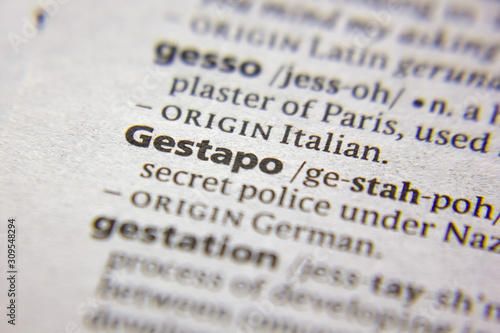 Word or phrase Gestapo in a dictionary.