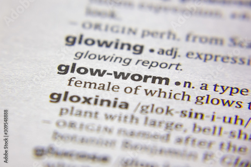 Word or phrase Glow-worm in a dictionary.