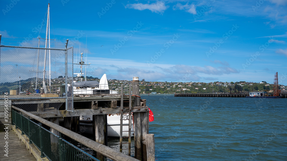 Cruise Ship Sea Port Scenery ; Exotic Travel In New Zealand