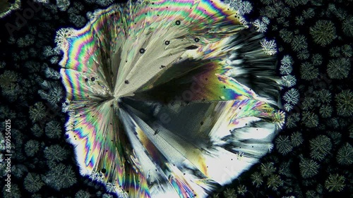 Crystallization. Crystal Growth Chemical Reaction Microscop Timelapse photo