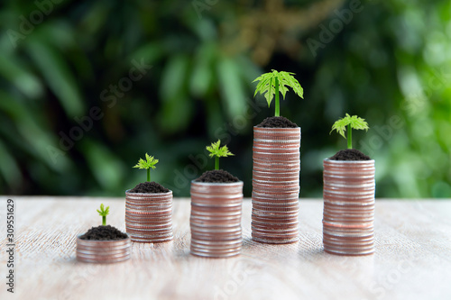 Many coins are stacked in a graph shape with growing tree for financial planning concepts.