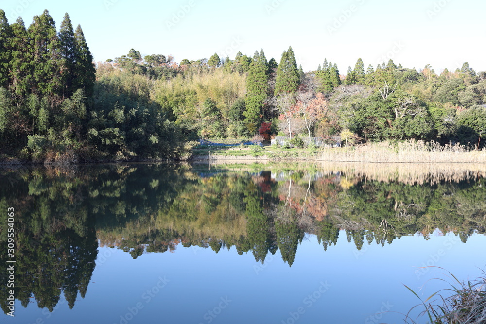 Fototapeta premium Noike