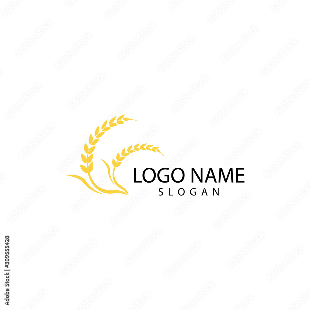 Agriculture wheat Logo Template vector icon design Agriculture wheat Logo Template vector icon design