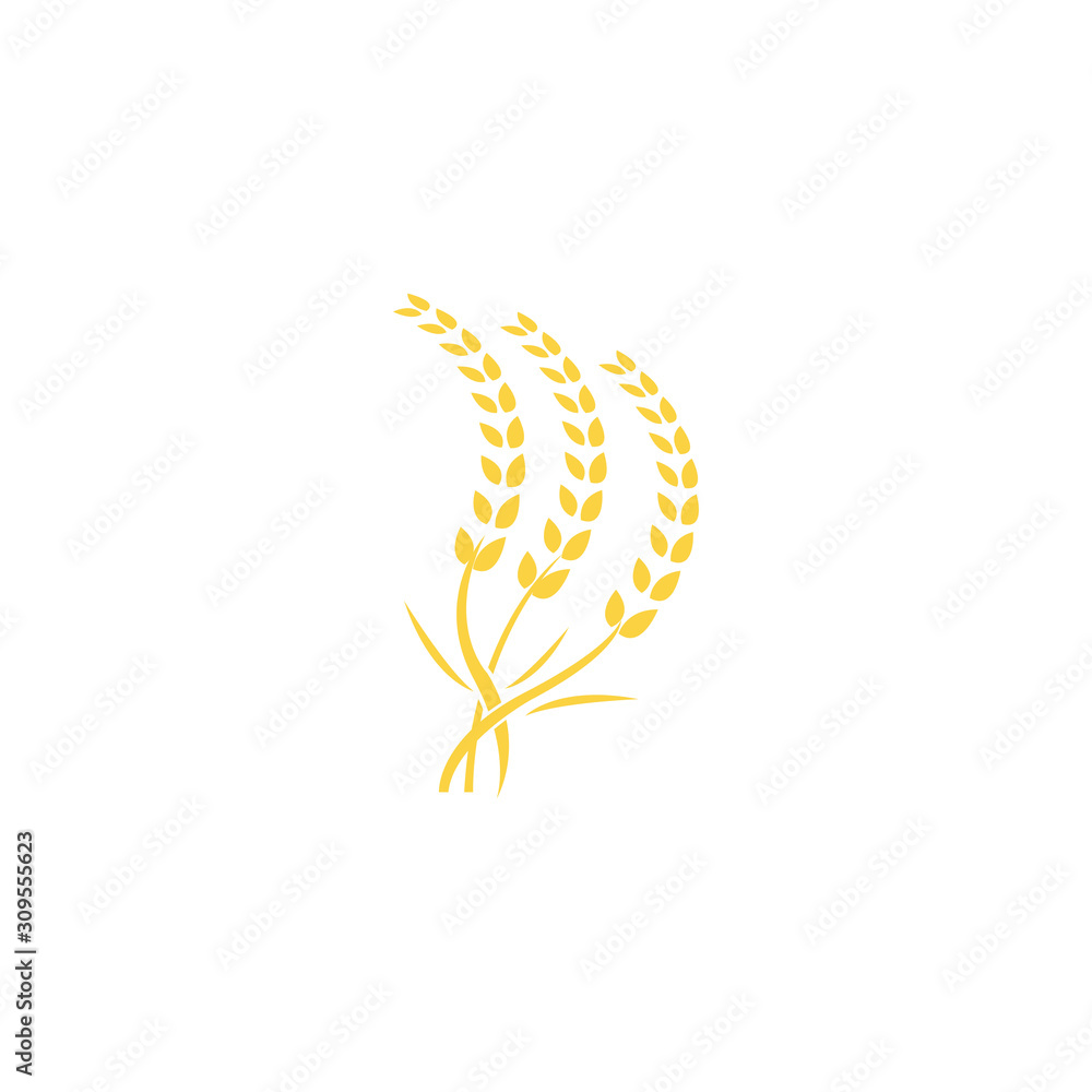 Agriculture wheat Logo Template vector icon design Agriculture wheat Logo Template vector icon design