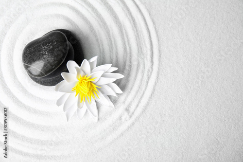 Canvas Print Zen garden