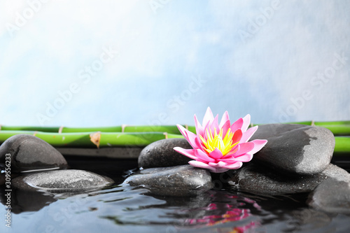 Beautiful zen garden with lotus flower and pond on light blue background