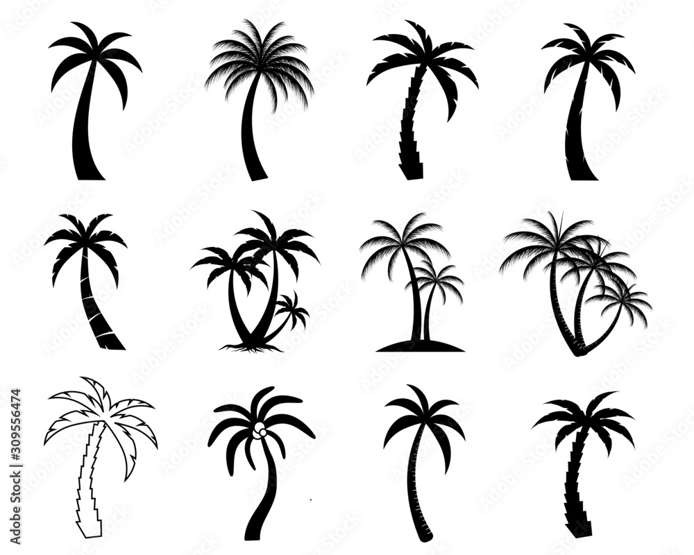 Collection of Black Coconut trees Icon. Can be used to illustrate any nature or healthy lifestyle topic.